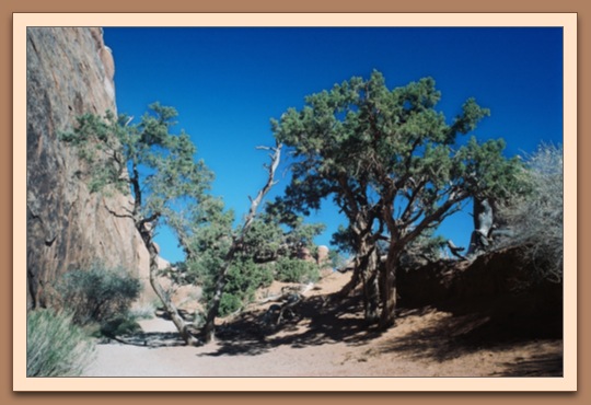 Devils Garden
