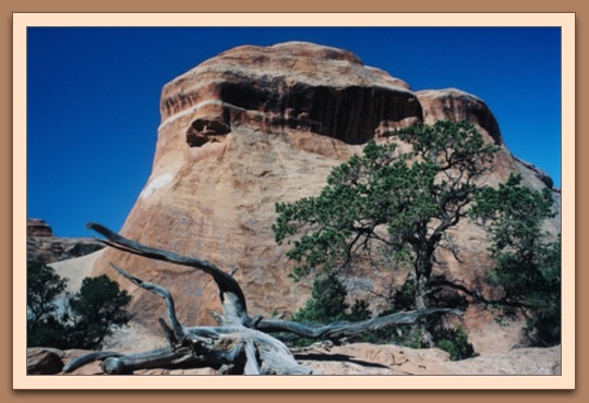 Devils Garden
