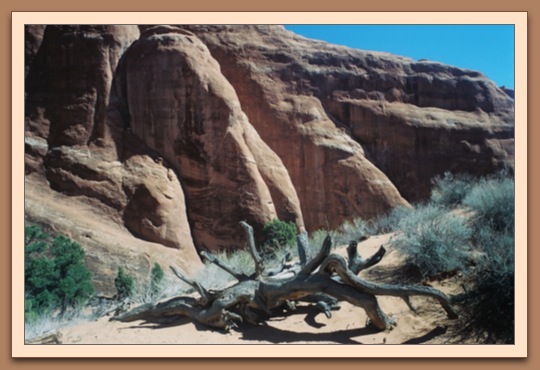 Devils Garden