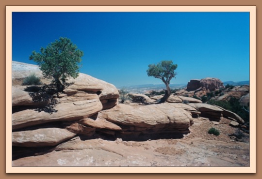 Devils Garden