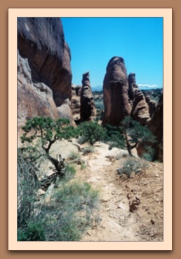 Devils Garden