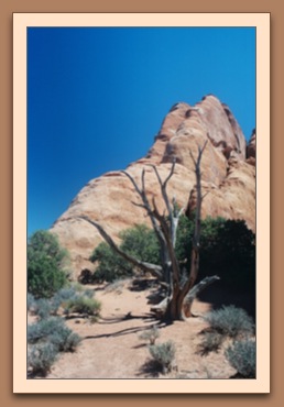 Devils Garden