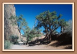 Devils Garden