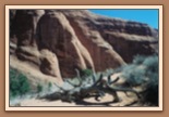 Devils Garden