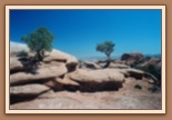 Devils Garden