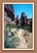 Devils Garden